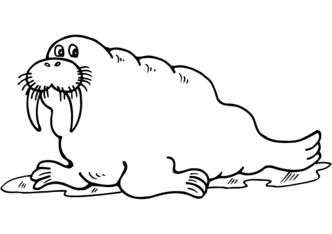 Cartoon Walrus Coloring Page